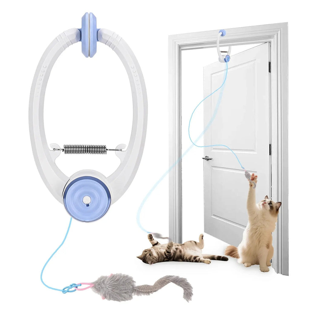 Cats Toy Interactive