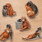 Hang In There Monkey™ A Tiny Reminder To Keep Going