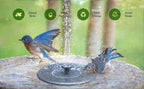 Hot Sale🔥⛲ Solar Fountain, Solar Powered Bird Bath Fountain Pump