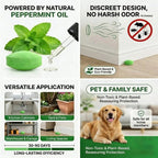 🔥Last Day 49% OFF -  ✨Rodent & Mice Repellent Balls