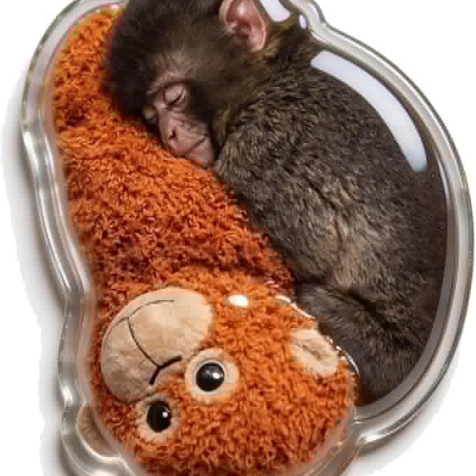 Hang In There Monkey™ A Tiny Reminder To Keep Going
